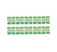 eRgDFS Compatible avec la Cartouche à Encre Blanche Chip Surecolor F2000 F2100 imprimantes T7251 T7254 T725A T725A00(10pcs T7251 BK)