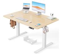 ErGear Bureau Assis Debout avec Moteur Brushless avancé-120 x 80 cm-100 kg de capacité de Charge Bureau Assis Debout Electrique, Fonction silencieuse, Cadre métallique Robuste