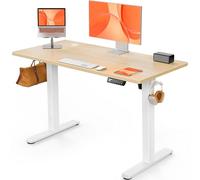 ErGear Bureau Assis Debout Electrique, Bureau Réglable en Hauteur Electrique 120 x 60 cm avec Panneau Intelligent à 4 Mémoires, Bureaux avec Plateau en Panneaux Assemblés