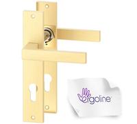 ERGO line CUBE garnitures de porte carrées, doré mat, poignée avec serrure intégrée serrure à cylindre ensemble de poignées avec rosette longue, carré de 7 mm, entraxe 70 mm, laiton brossé mat