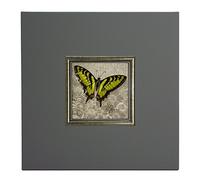ERGO-PAUL de igp5453-E1-80sz2-40 x 40 x 1,5 Yellow Butterfly III, Paper/Eco Leather/Wood, Grey, 40.0 x 40.0 x 1,5 cm