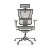 ERGOHUMAN SLIM ULTRA G GEN2 | tissu maille - Siège de direction de luxe Gris