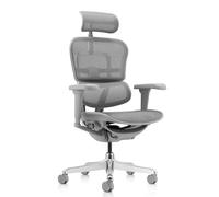 Chaise de bureau / fauteuil de direction ERGOHUMAN ULTRA G GEN2 tissu résille gris hjh OFFICE Gris