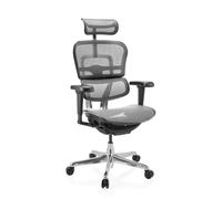 ERGOHUMAN ULTRA GEN2 | tissu maille - Siège de direction de luxe Gris