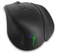 ERGOLEBEN VM Souris sans Fil - Droite - Grande Taille