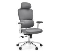 Chaise de bureau / chaise pivotante ERGOMY WF2 Tissu gris hjh OFFICE Gris
