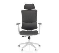 MyBuero ERGOMY I WF Chaise de bureau pivotante ergonomique avec support lombaire flexible, appui-tête et accoudoirs réglables en hauteur, tissu gris