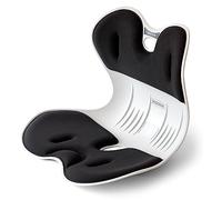 ERGONIX Chaise correctrice de Posture pour Homme - Grande Chaise de Soutien Dorsal Ergonomique pour corriger la Posture et soulager Les douleurs dans Le Bas du Dos - Chaise Portable