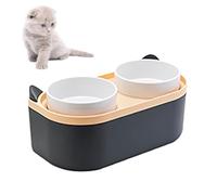 Ergonomic Kitten Bowl - Reusable Cat Bowl | Sturdy Cats Feeder with Pets Supply, Feeding Bowls for Animals, Mealtime Cat Item, Raised Pet Bowls Double Basin Meal Station for Animals Use