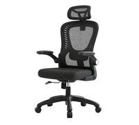 Ergonomic Office Chair High Back Desk Chair Adjustable Armrests Lumbar Support Mesh Computer Chairs Home Office 3D Lumbar Support(Black with Headrest)