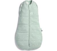 ergoPouch Sac de couchage bébé hiver 3-6 mois - Sage - TOG 2.5 - Sac de couchage pour bébé, sac à dos