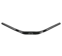 ergotec Guidon de vélo City Cruiser 31.8, GW 640, GL180, GH41, 37 degrés, AL6061-T6, Noir/Sable, 15899001