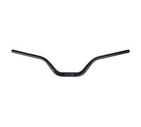 Ergotec Riser Bar Guidon VTT/SUV Ø 31,8 mm 100 mm Niveau de sécurité Rise : 6