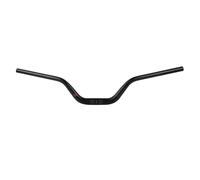 Ergotec Riser Bar Guidon VTT/SUV Ø 31,8 mm 100 mm Niveau de sécurité Rise : 6