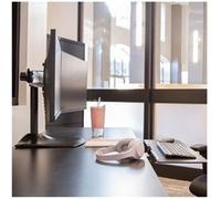 Ergotron DS100 - Pied - horizontal - pour 2 écrans LCD - aluminium, acier - noir - Taille d'écran : jusqu'à 24 pouces - ordinateur de bureau Noir G