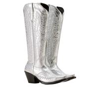 ERHTGUO Bottes de cowboy for femmes, hauteur genou, mi-mollet, style western vintage, chaussures décontractées à talons compensés(Silver,44)