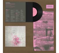Eric Chenaux Slowly Paradise (Vinyl) 12" Album