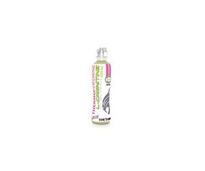 Eric Favre Thermophedrine L-Carnitine 500 ml - Mojito
