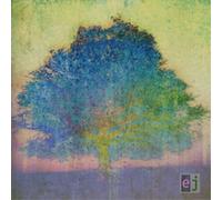 EJ CD