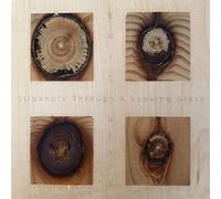 Eric Revis Slipknots Through A Looking Glass (CD)
