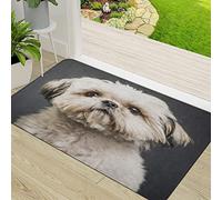 ERICAT Tapis de Porte Paillasson d'Entree Interieur et Extérieur Tapis,Chiot Shih Tzu en Studio Dark Animal Beautiful Canine,Antidérapant et Absorbant Tapis pour Chambre 50x80cm