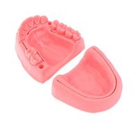 Ericetion Modèle De Pratique De Suture Dentaire 2pcs, 3 sur 1 Module D'enseignement De Suture Oral, Formation De Suture Gingivale en Silicone Douce en Silicone