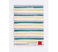 Erickson Super righe 1 Carnet de notes A4 76 feuilles Multicolore
