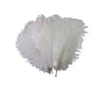 ericotry Lot de 50 plumes d'autruche naturelles de 15 à 20 cm pour loisirs créatifs, mariage, centre de table, décoration d'intérieur (blanc)