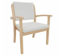 Erides Alexander XXL Chaise de soins robuste, avec accoudoirs, hêtre massif, rembourrée, pour obésité jusqu'à 250 kg, cuir synthétique Profi Clean Walter gris, hauteur d'assise : 52 cm