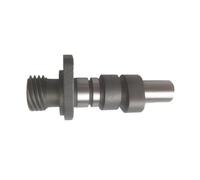 ERIHJOX Arbre à cames et culbuteur de Moto, Accessoires de Moteur for GZ 250 1999-2011, GN250 1985-2001, TU 250 1997-2001(CamShaft)