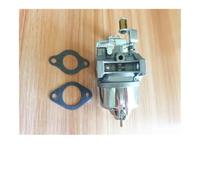 ERIHJOX Carburateur adapté au carburateur de transplanteur de Riz GS160-2TS4 GS160-2TS4, pièces de Joint de carburateur(with Gasket)