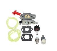 ERIHJOX Carburateur adapté for CS-260T CS-260TES CS-260TEU CS-2600ES 269TS 269TCS A021001400,A021001401,A021001403,WT-843,