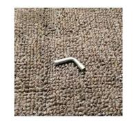 ERIHJOX Convient aux Kits de réparation de carburateur DIO50 18 Période/DIO 28 Période / DIO34 Période / 35 Grand 90/28 Tuyau d'huile ZXAF34/35/38(5pcs for Oil Pipe)