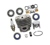 ERIHJOX Cylindre de 45 mm, Piston, carburateur, réparation Compatible avec Les tronçonneuses 254, 154 XP et 254XP (Bougie d'allumage, roulement de Vilebrequin).