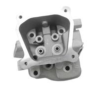 ERIHJOX Kit Culasse GX120 Compatible avec GX110 119 cm³ : Bloc-cylindres, culbuteurs, Ressorts d'échappement et d'admission, Clips de retenue, écrou de Tige de poussée.(Type A. Head Only)