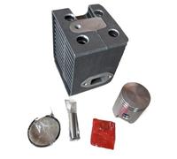 ERIHJOX Kit Cylindre Compatible avec WM80 WM80 BS600 BH23 plaqué OEM 0099336