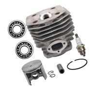 ERIHJOX Kit Cylindre-Piston 45 mm Compatible avec tronçonneuses 154, 154XP, 254, 254XP et 238 ; Bougie d'allumage, roulement de Vilebrequin ; référence 503503903