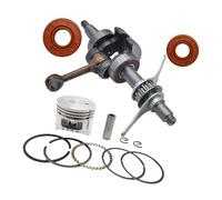 ERIHJOX Kit de Joint d'huile de Vilebrequin et de Piston Compatible avec Les débroussailleuses GX25, GX25NT et HHT25S