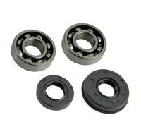ERIHJOX Kit de Joint d'huile de Vilebrequin et roulement à Billes rainuré G2500 for tronçonneuse à poignée 2500 25CC 25,4CC(2 Sets)