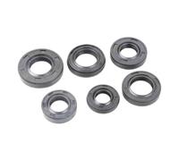 ERIHJOX Kit de Joint d'huile de Vilebrequin for Tondeuse à Gazon 140 GX35, Compatible avec Les Joints d'arbre de Brosse à 2/4 Temps, for Herbe 40-5 44-5 CG430 TL52 TL43(140F)