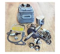 ERIHJOX Kit de Reconstruction TS420 Comprenant Cylindre, Vilebrequin, roulements, Joints et Chalumeau for tronçonneuse TS410 et TS420(Crankshaft Only)