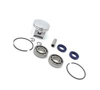 ERIHJOX Kit de Segments d'axe de Piston 42,5 mm, roulement à Aiguilles, Joint d'huile, Jeu de roulements à Billes de Vilebrequin Compatible avec Les pièces de tronçonneuse 025 MS250 MS 250(5 Sets)