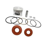 ERIHJOX Kit de Segments de Piston et Joints d'huile 35 mm Compatible avec Les Moteurs de débroussailleuses et tondeuses à Gazon 4 Temps GX25, FG110 et HHT25S (pièce détachée).