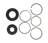 ERIHJOX Kit de Segments de Piston, Joints d'huile de Vilebrequin et de Vilebrequin de 39 mm for Moteur de Tondeuse à Gazon 4 Temps GX35. Pièce détachée.