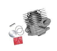 ERIHJOX Kit Piston de Cylindre 40 mm for souffleur Mist-Duster 1E40FP-3Z, Compatible avec Les modèles 40F-3, 3WF-3A et 2.6 EB-415 (Anneau de pulvérisation, Clips de Fixation).