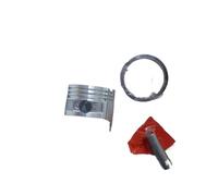 ERIHJOX Kit Piston GXV120 Compatible avec Les tondeuses à Gazon 1P60F et Plus, 118 cm³, 4 Temps, 4 CV, OHV, Arbre Vertical : Segments, Axes et Clips de Fixation.