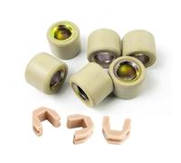 ERIHJOX Lot de 6 galets de variateur 16 x 13 et 18 x 14 avec curseurs for scooters et motos GY6 139QMB 50cc, 125cc et 150cc(6.5g (16x13mm))