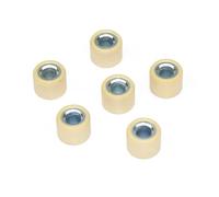 ERIHJOX Lot de 6 rouleaux de variateur 16 mm x 13 mm 16 x 13 et 18 x 14 for scooters et motos 139QMB 50 cc, 125 150 cc GY6(13g (18x14mm))