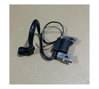 ERIHJOX Pièces de stator de Bobine d'allumage adaptées au Moteur de générateur G101