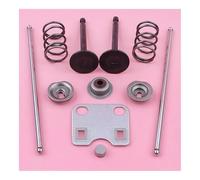 ERIHJOX Plaque de Guidage de Tige de poussée for Moteur de Tondeuse GX160 GX200 5,5 CV et 6,5 CV, Capuchon de Protection de Tige, Jeu de Ressorts de retenue, pièce détachée